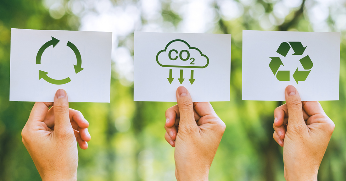 Why Sustainable Living is the Future