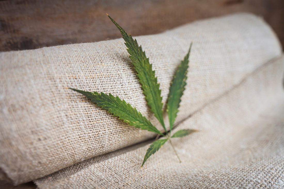 Hemp 101: What It Is and Why Everyone’s Talking About It