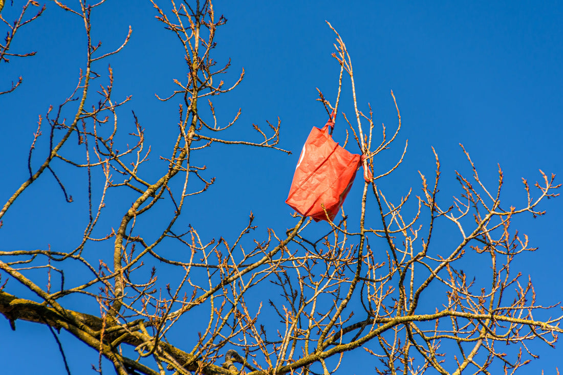 A red plastic bag tangled in the branches of a leafless tree against a clear blue sky, highlighting environmental pollution and littering issues.