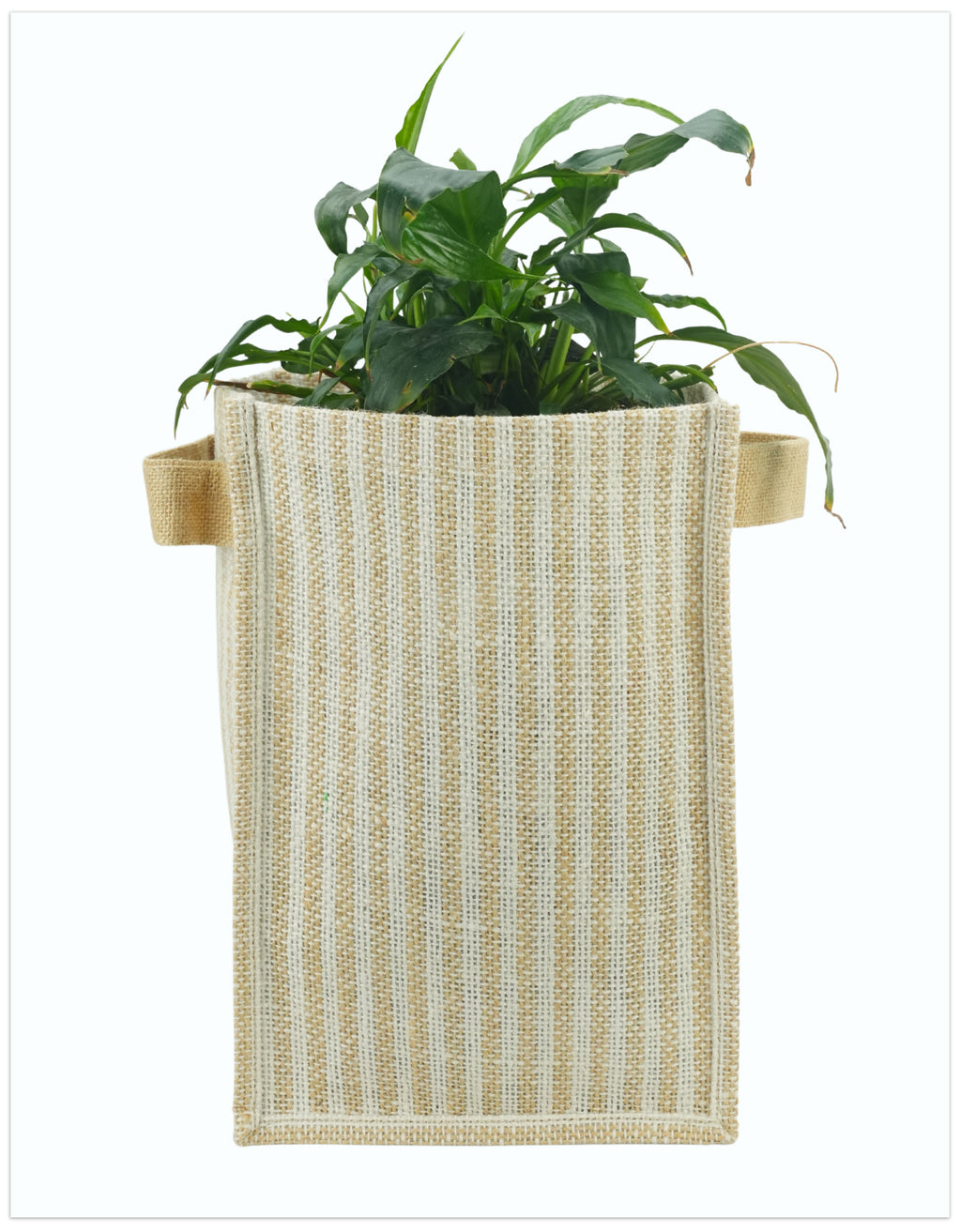 Jute Planter Bag- Square